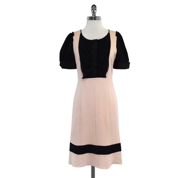 Diane Von Furstenberg Dresses & Skirts - DVF wool and spandex pink dress with black 6